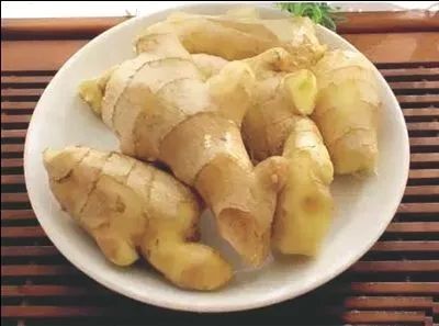 华体会体育hth官方网站