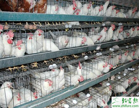 华体会体育hth官方网站