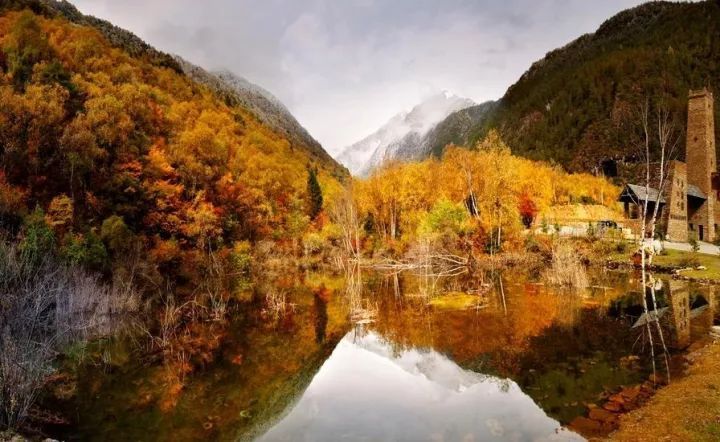 卡佩罗:拜仁的球员们希望安切洛蒂下课_华体会体育hth官方网站(图1) hth官网入口