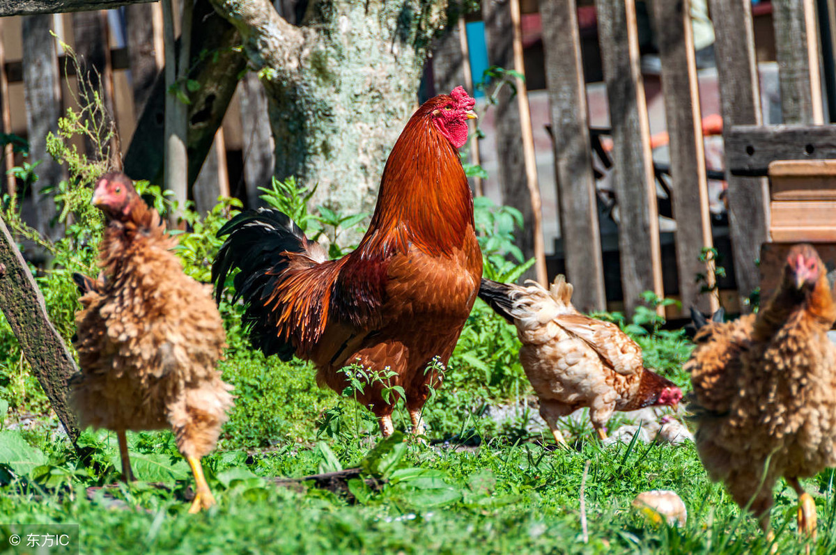 华体会体育hth官方网站