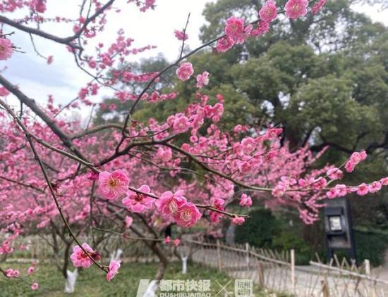 【华体会体育hth官方网站】12日德甲推荐:狼堡难敌莱比锡红牛(图1) 华体会体育hth官方网站