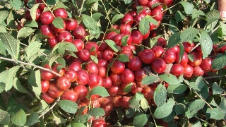 中国摩天大楼爆破背后 浪费超4600亿元‘hth官网入口’(图1) 华体会体育hth官方网站