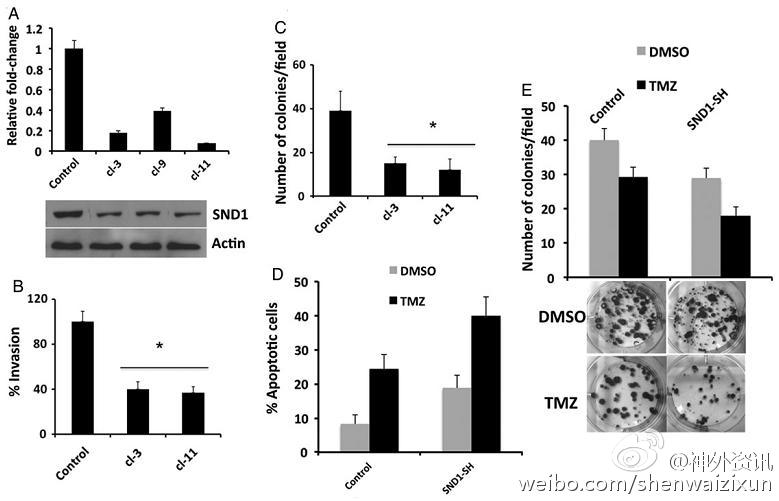 建筑工程进度管理:华体会体育hth官方网站(图3) hth官网入口