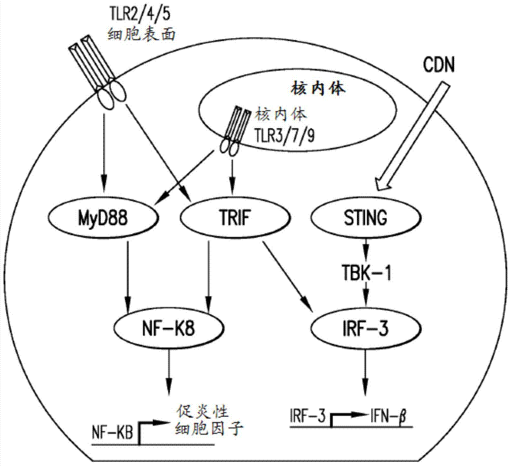 中国摩天大楼爆破背后 浪费超4600亿元‘hth官网入口’(图2) hth官网入口