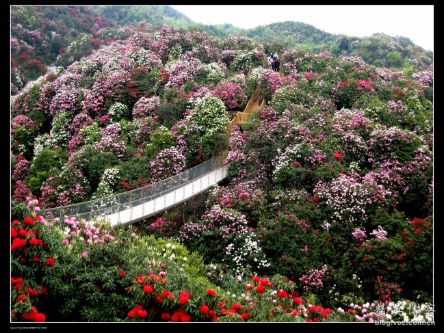 2015年度哈佛大学车匠奖由Erik L’Heureux获得_hth官网入口(图1) hth官网入口