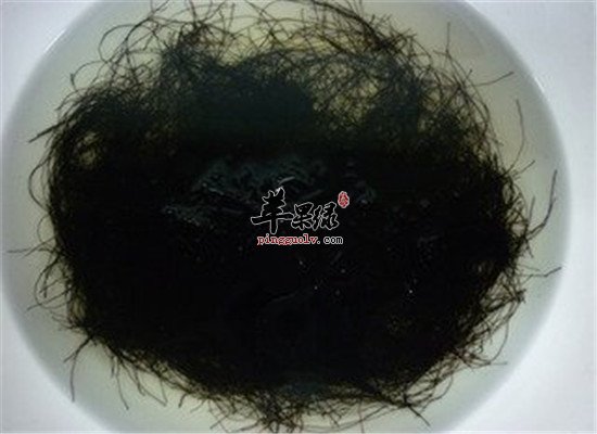 华体会体育hth官方网站