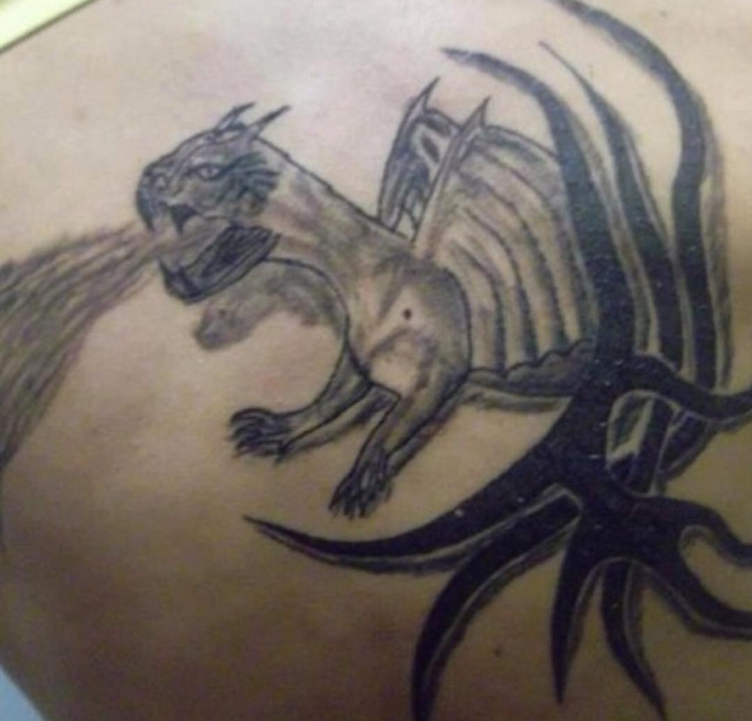 【西瓜集结号】莱比锡红牛主场大胜?【hth官网入口】(图2) hth官网入口