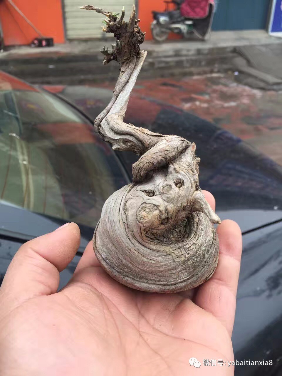 华体会体育hth官方网站-智慧水生态,创赢新未来!2020年海尔全屋用水全屋采暖【2+1+N】战略启动会!(图2) hth官网入口