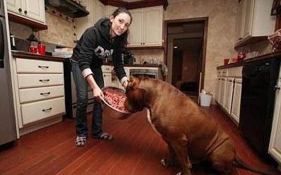 华体会体育hth官方网站