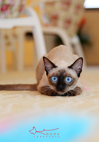 *
2020年山西公务员考试逐日一练:言语明白(35)【华体会体育hth官方网站】(图3) 华体会体育hth官方网站