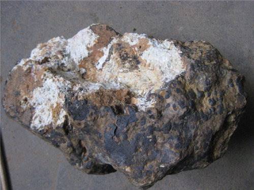 华体会体育hth官方网站