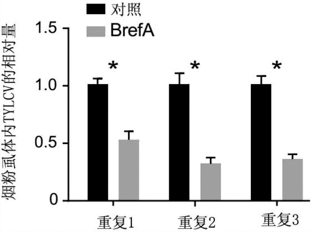 华体会体育hth官方网站