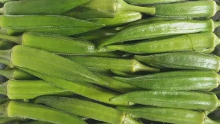 华体会体育hth官方网站