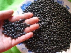 华体会体育hth官方网站