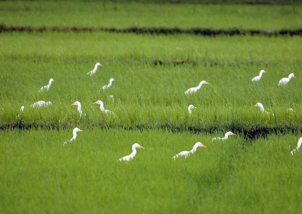 北京车展惊艳崛起之路VX预售17_华体会体育hth官方网站(图2) hth官网入口