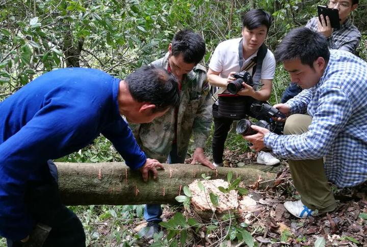 hth官网入口-餐饮空间|这一片浅海绿,浮动了整个餐厅(图2) hth官网入口