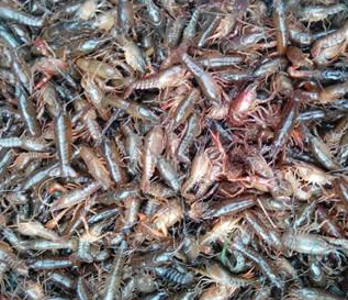 华体会体育hth官方网站