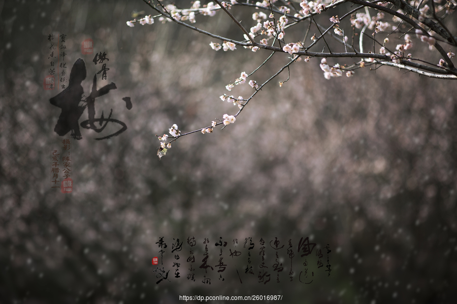 “hth官网入口”大卫·阿德加耶获得尤金·麦克德莫特艺术奖(图3) hth官网入口