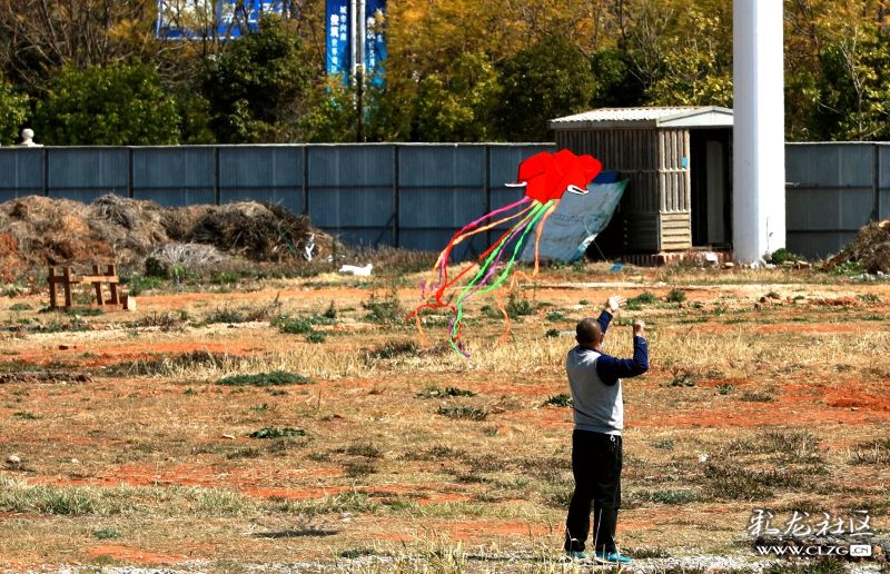 华体会体育hth官方网站